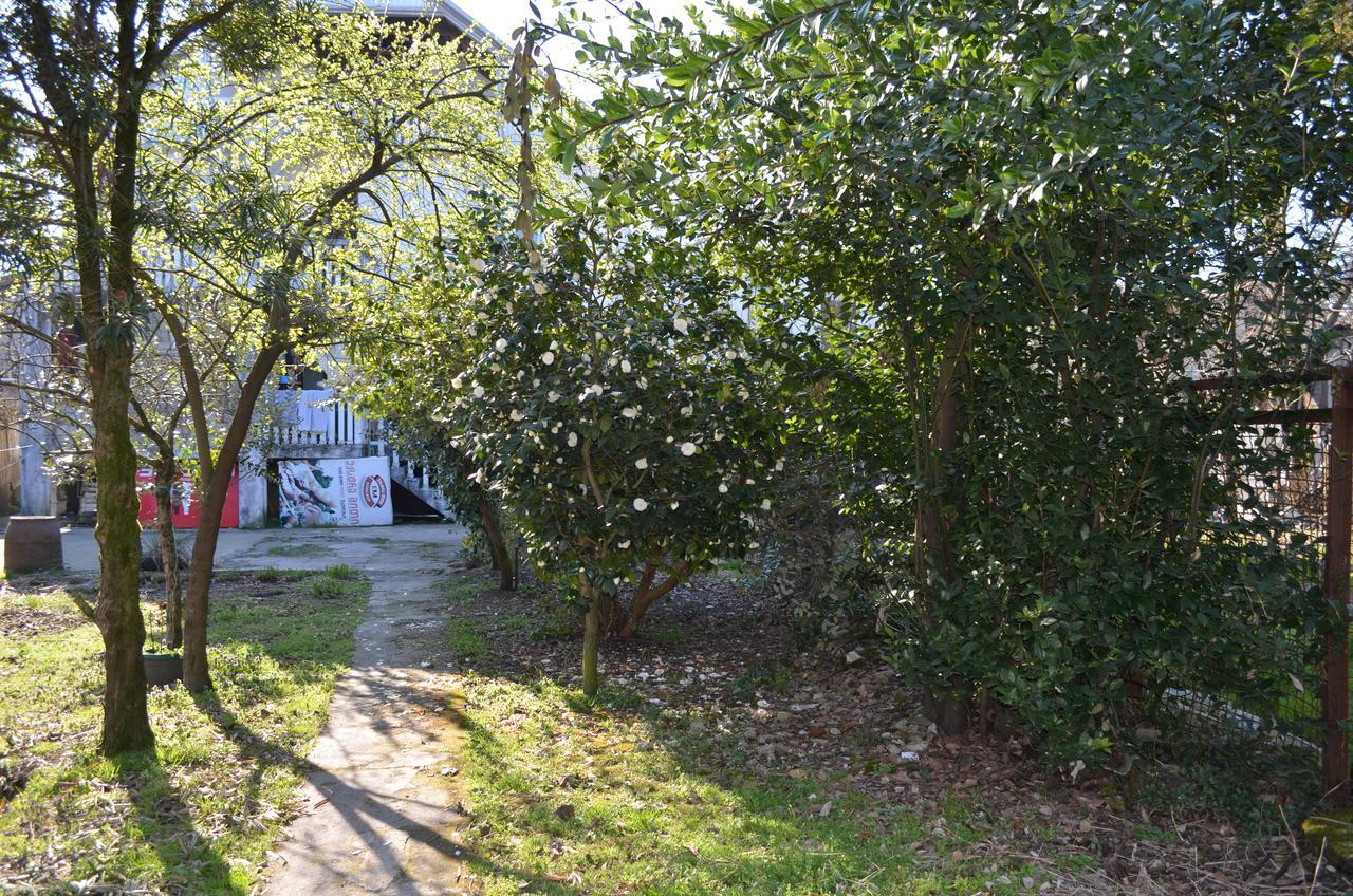 Hotel Near The Sea Kobuleti Εξωτερικό φωτογραφία