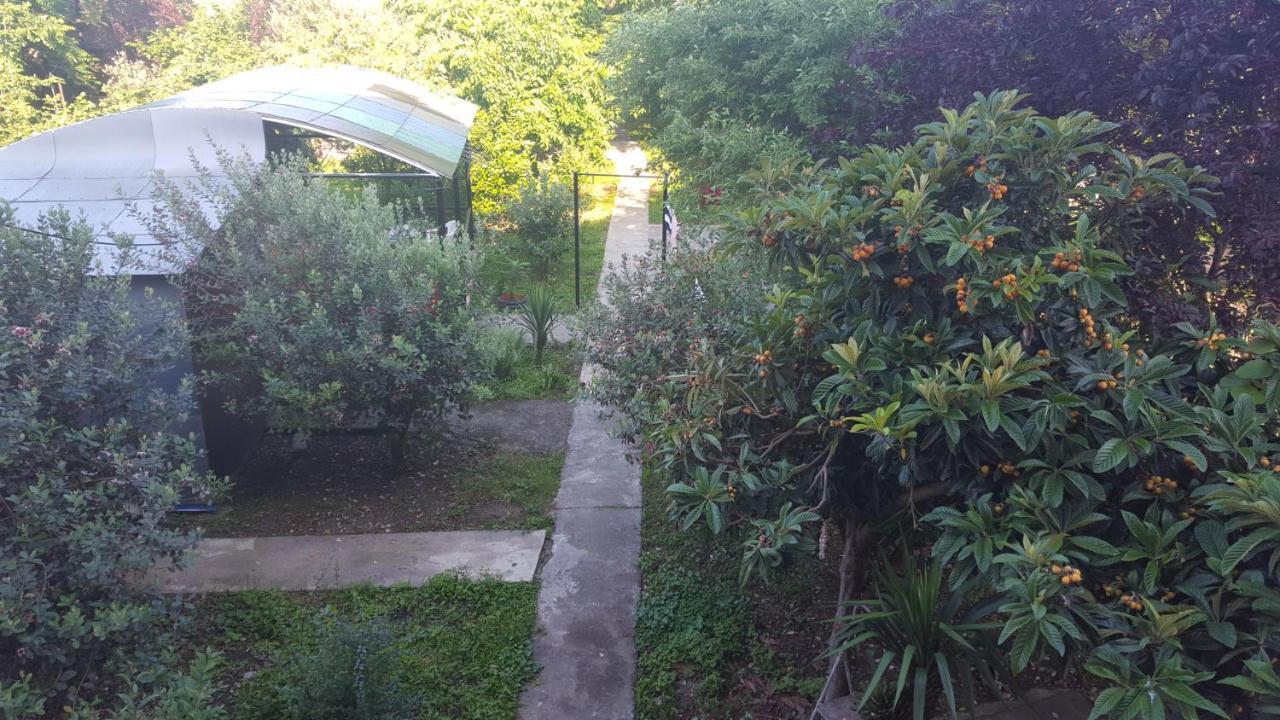 Hotel Near The Sea Kobuleti Εξωτερικό φωτογραφία